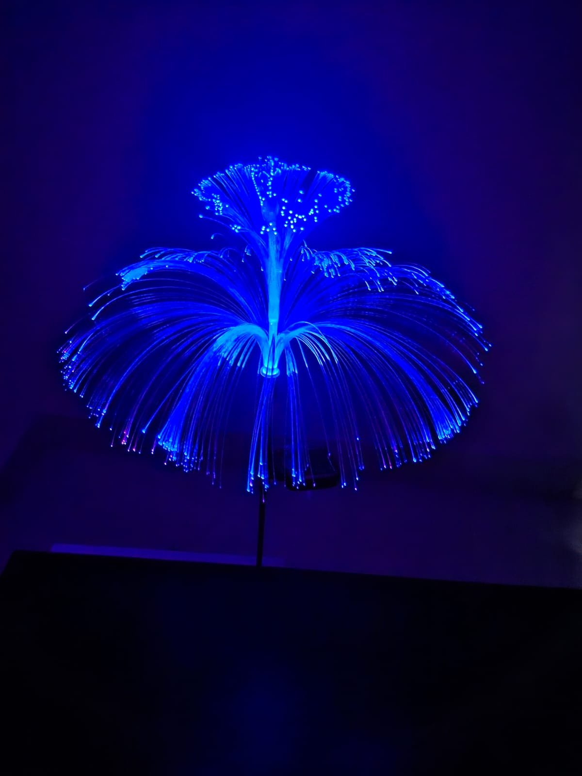 Butterfly Double Layer Fiver Waterproof Solar LED Outdoor Garden Light (2 PCs) । CN-120 - Image 5
